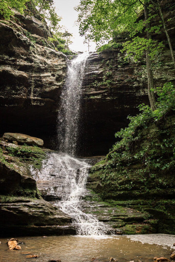 Escape to Tranquility: Discover the Hidden Gem of Ferne Clyffe State Park